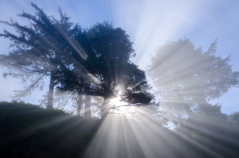 invisible guardian spirit