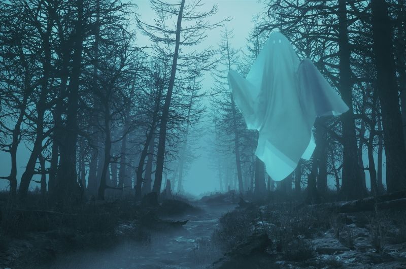 ᐅ Famous Ghost Apparitions I Ghost Guide › Ghosts Guide